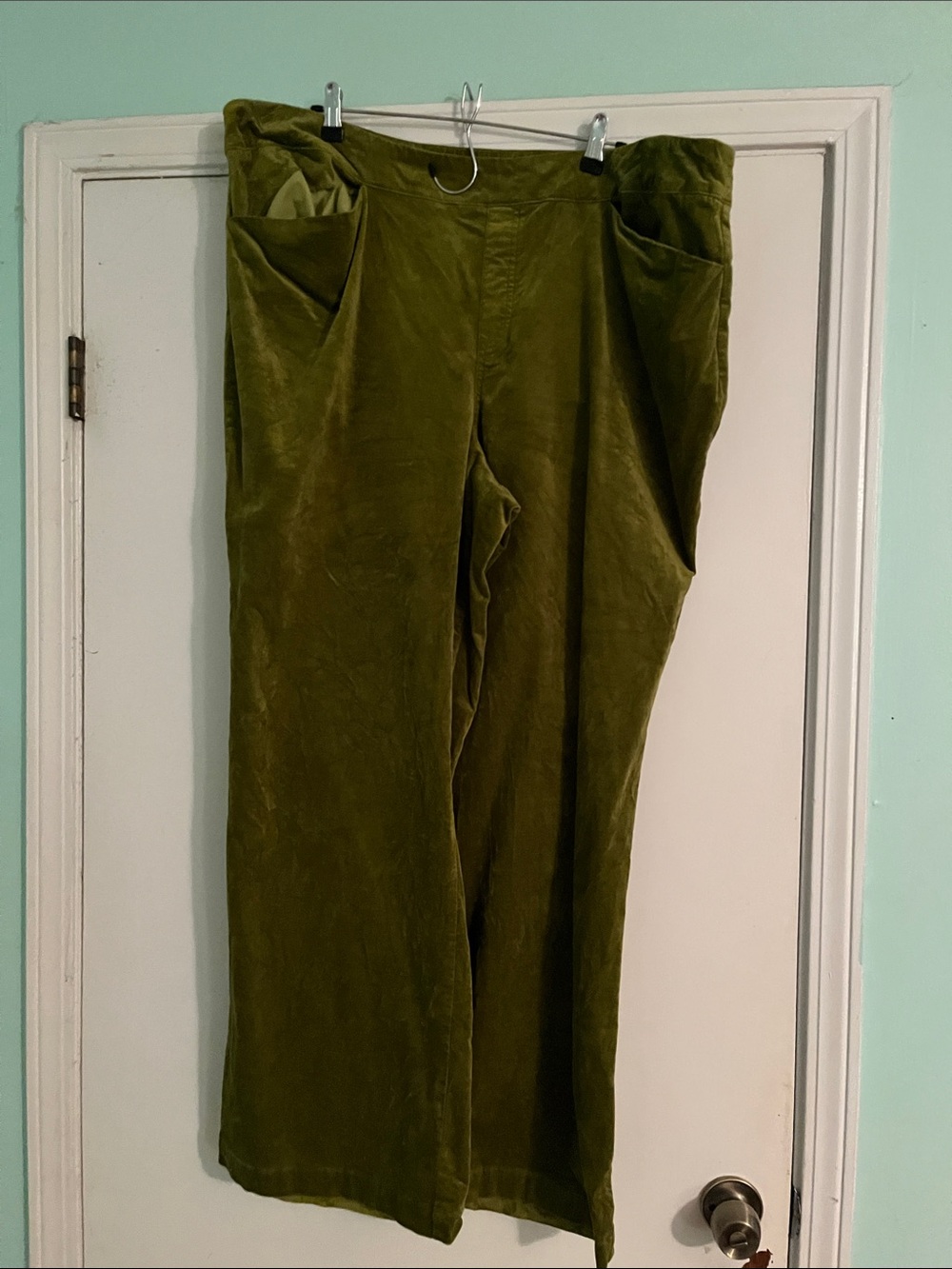 DG2 by Diane Gilman Olive Green Velvet Flare Pants